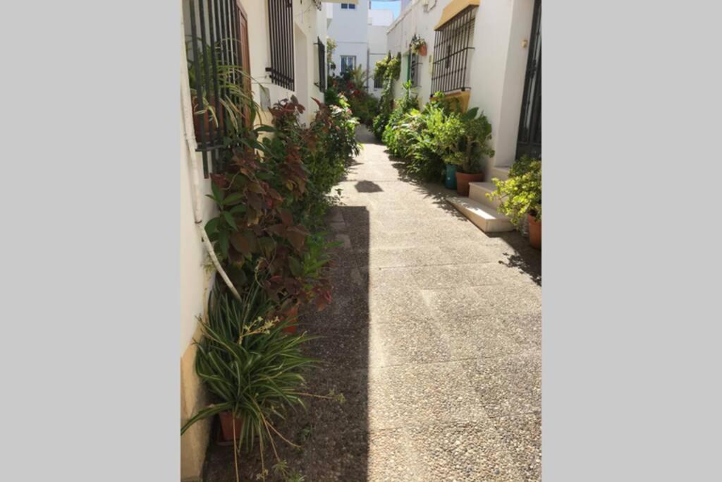Apartamento Con Azotea Privada Para Parejas Y Familias Conil De La Frontera Ngoại thất bức ảnh